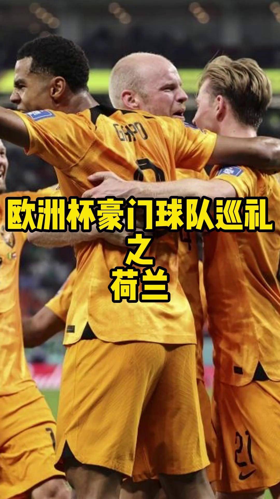 关于荷兰前锋范迪克领衔球队夺取冠军，获得球迷一致称赞的信息